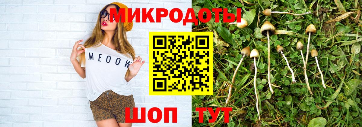 Чита  Псилоцибиновые грибы мухоморы  Вход с VPN 
